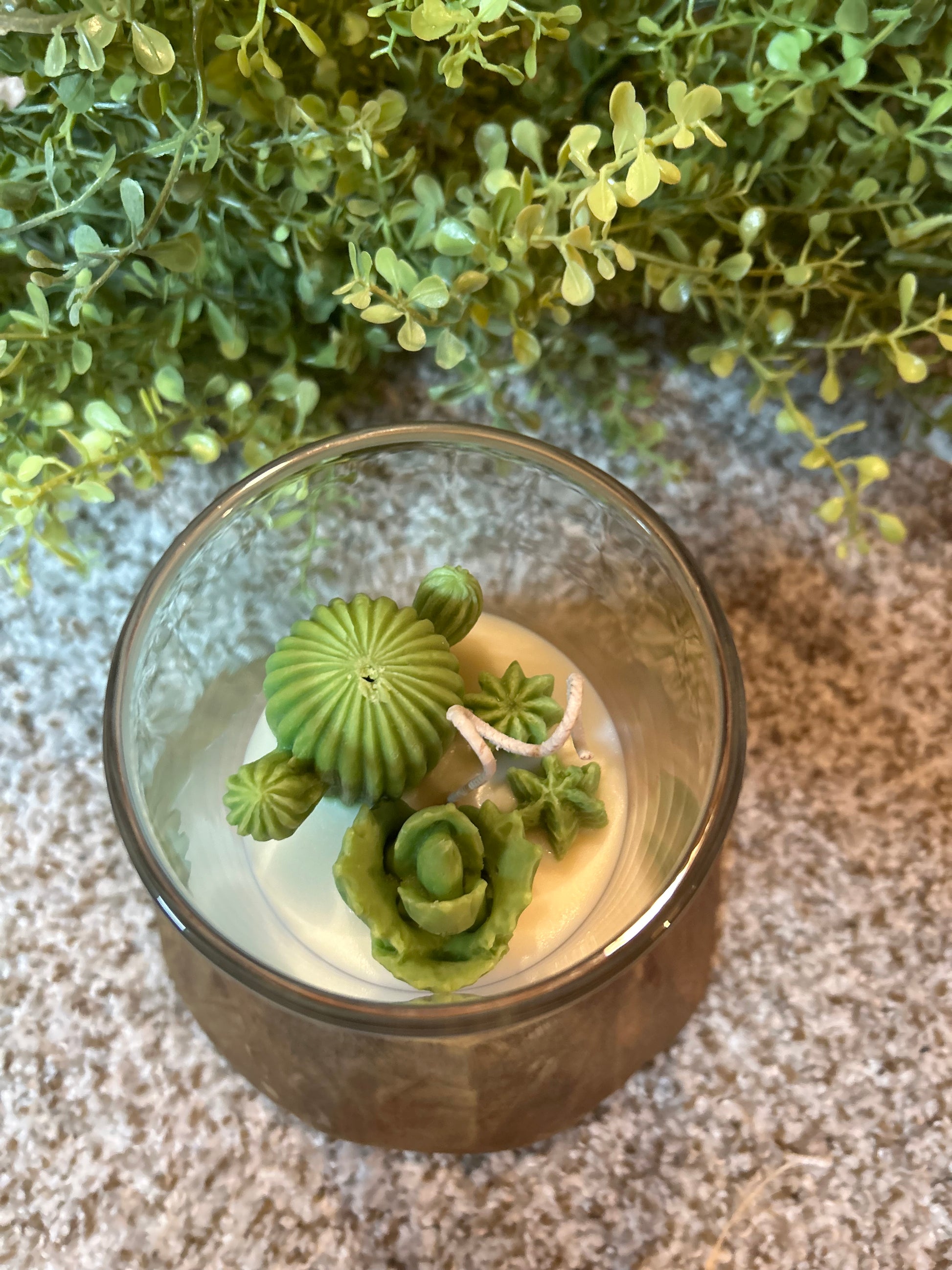 succulent candle 8oz Succulent Candle (all green/4 pieces) – Let Your Light Shine Candle Company