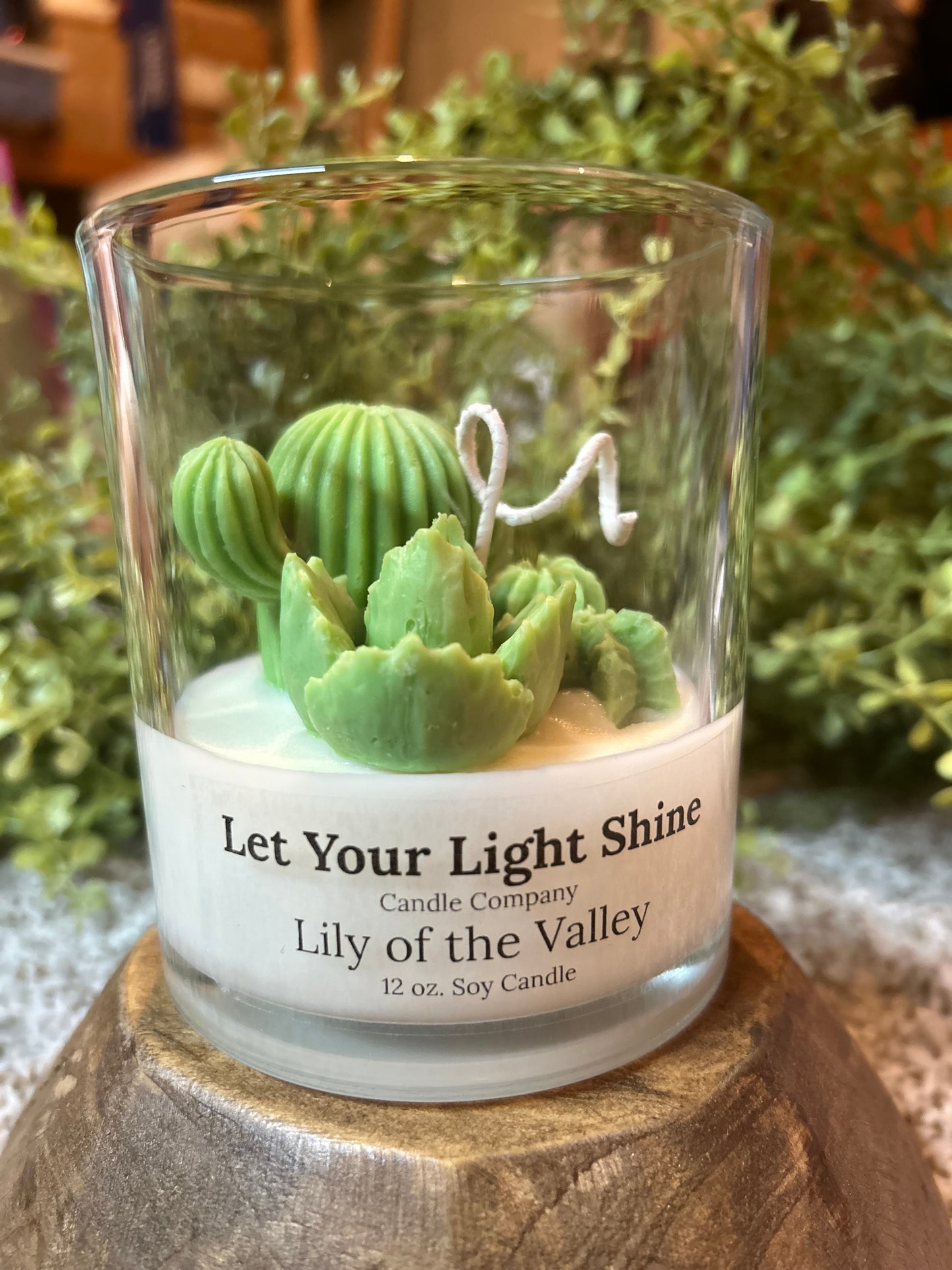 8oz Succulent Candle (all green/4 pieces)